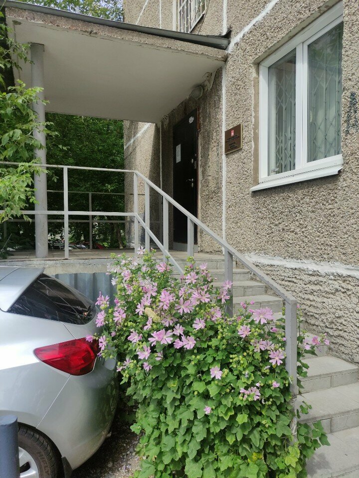 Community organization Общественный центр Краснова, Perm, photo