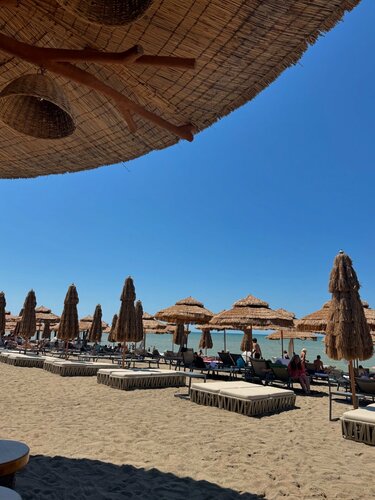 Внешний вид отеля Вилла Оазис в Сухуме, фото 2