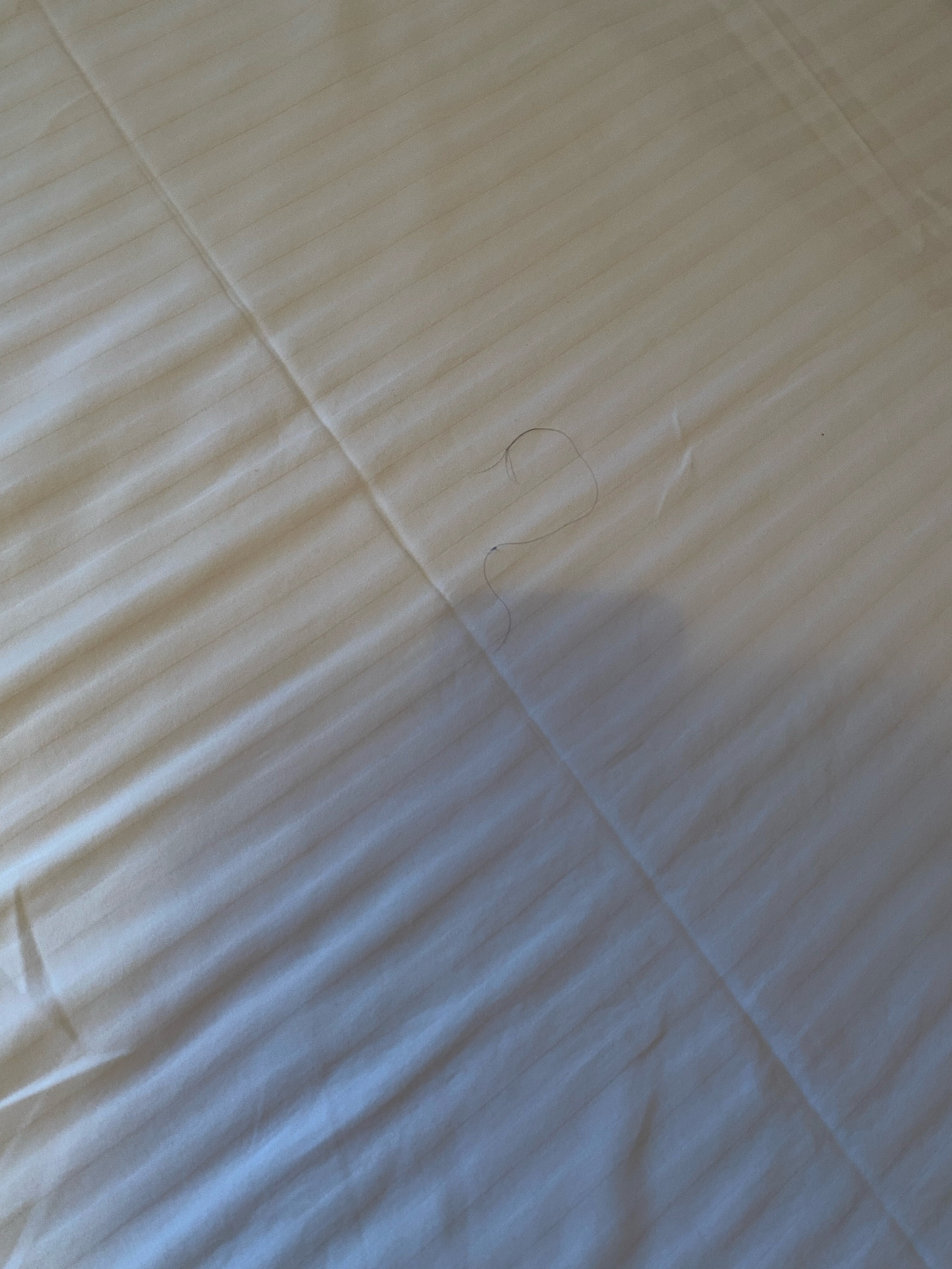 Фото Гостиница Звенигород