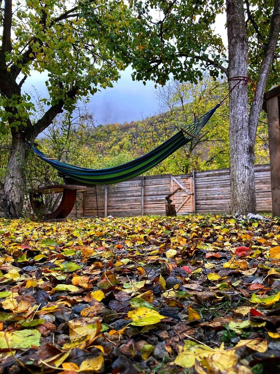 Фото Домик для двоих