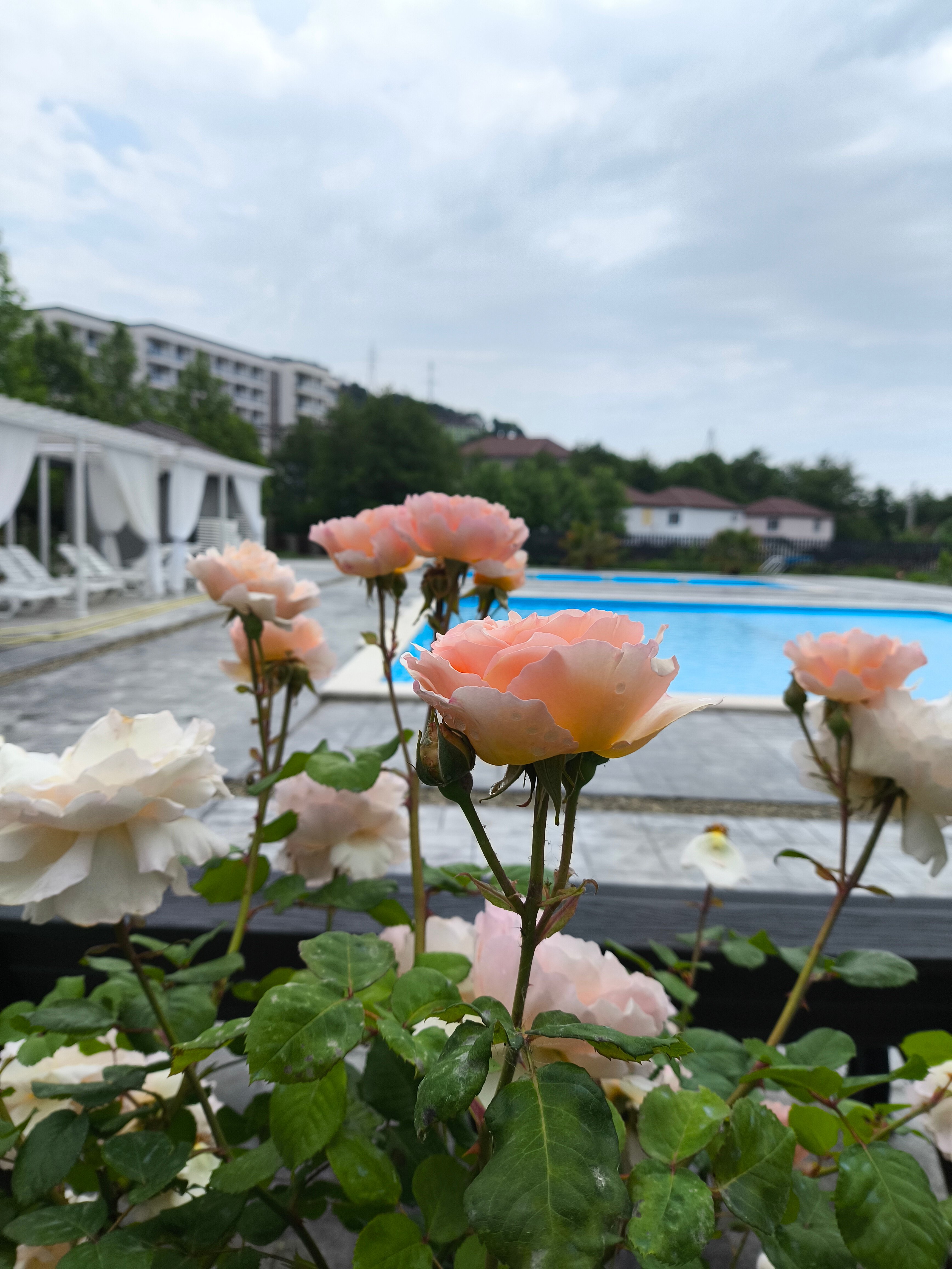 Фото Средиземье