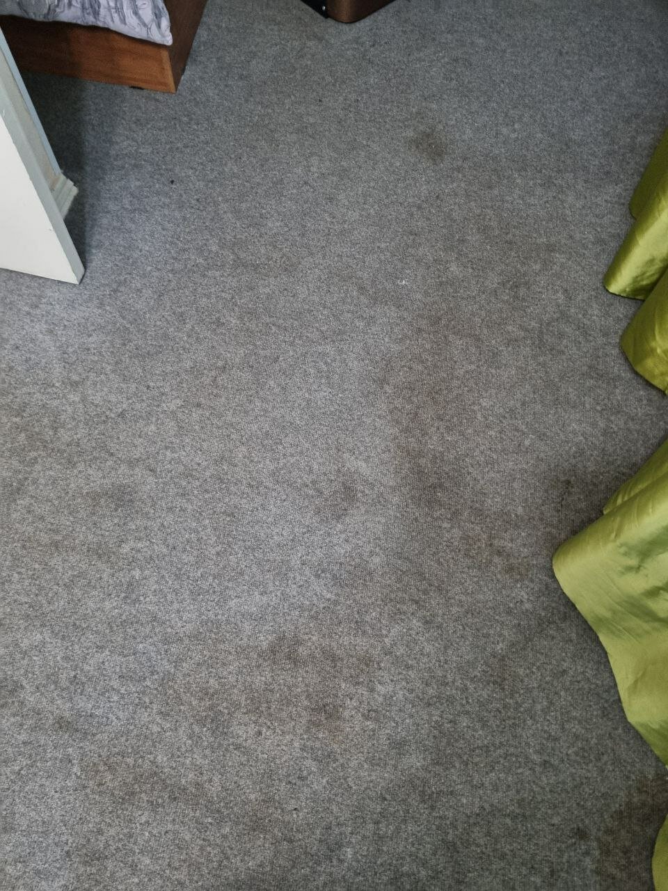 Фото Колосок