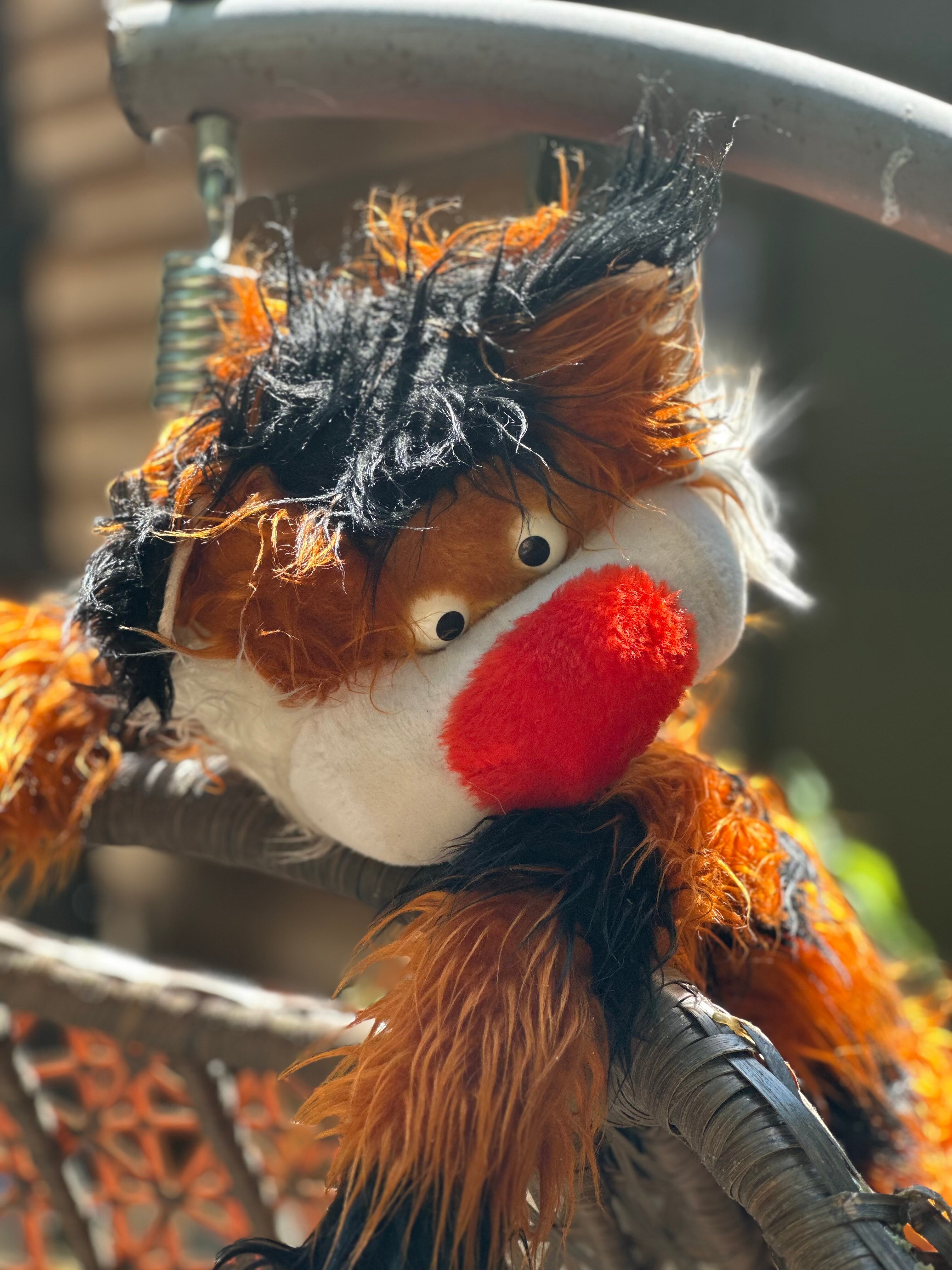 Фото Лесной домик Ель