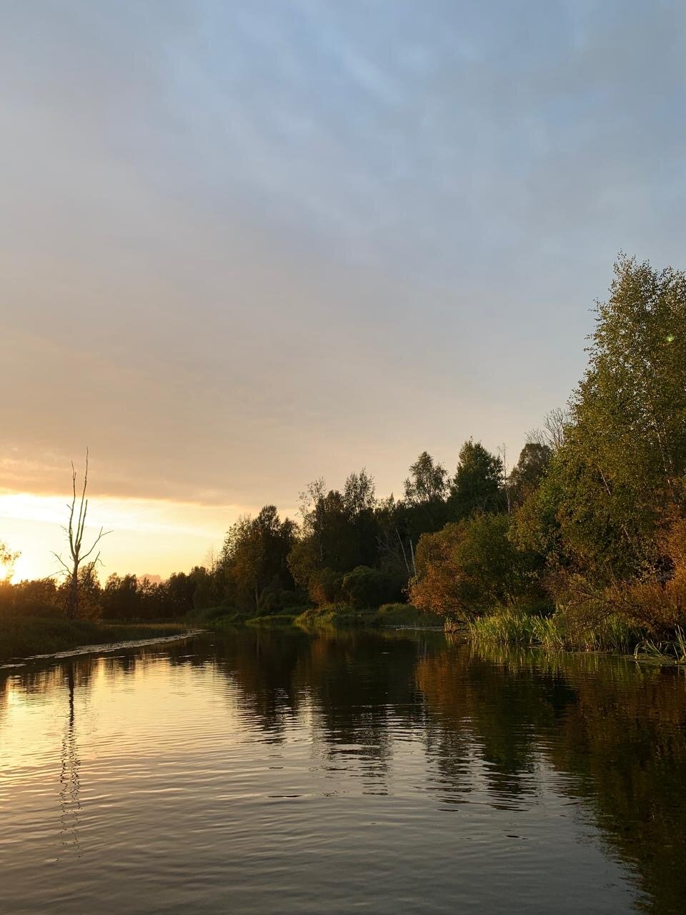 Фото Зюзино