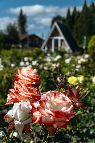 Гостиница Имение Дубровского в Кирово-Чепецке