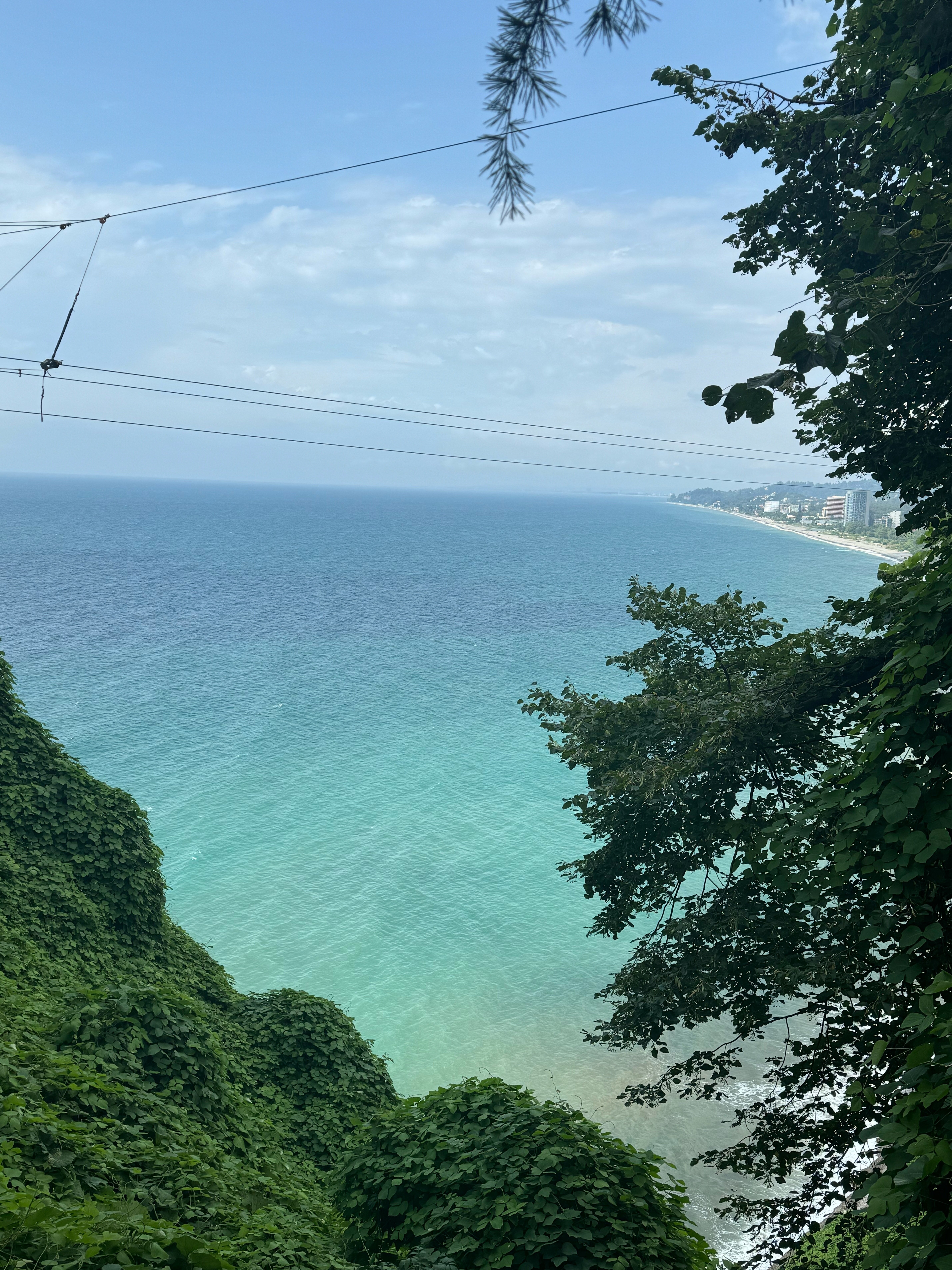 Фото Greenwood Hotel 