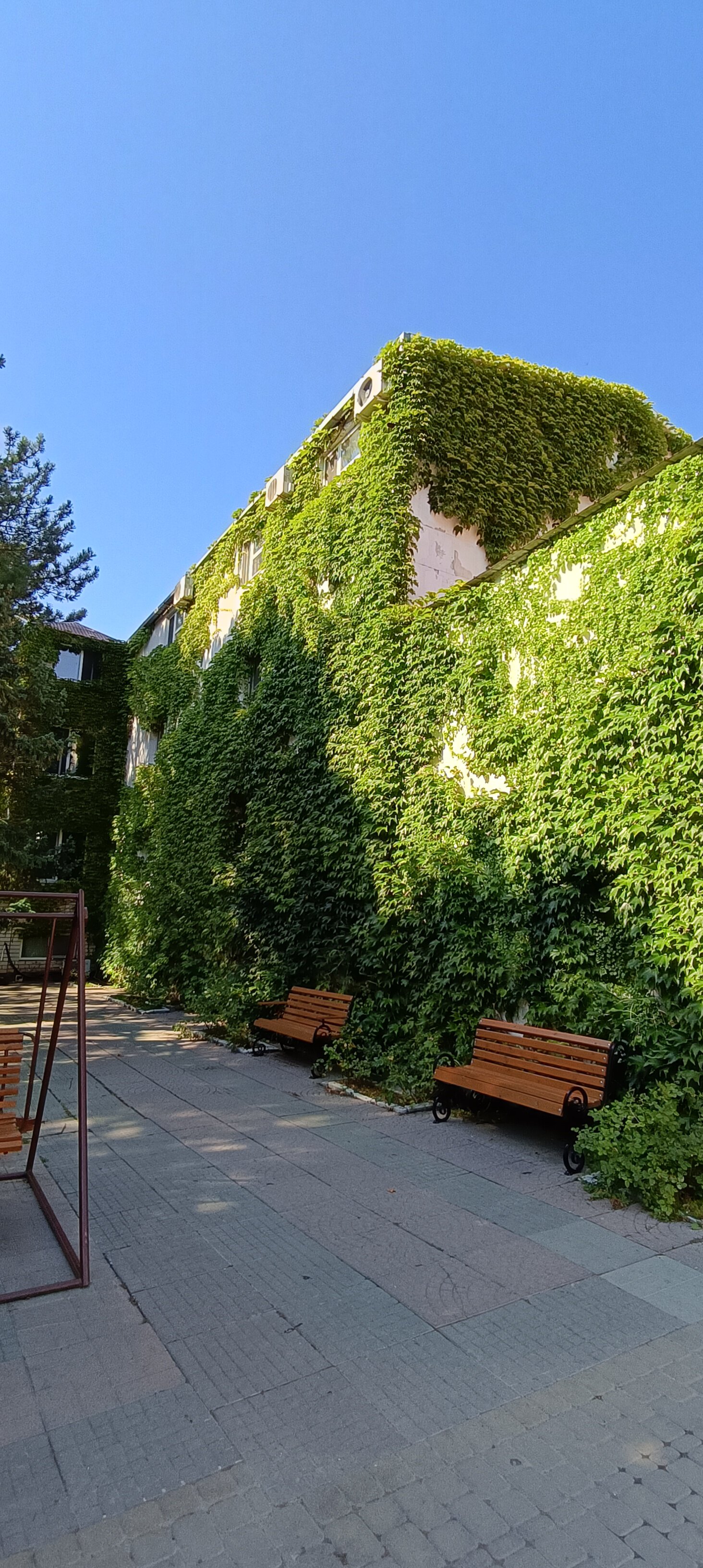 Фото Родник