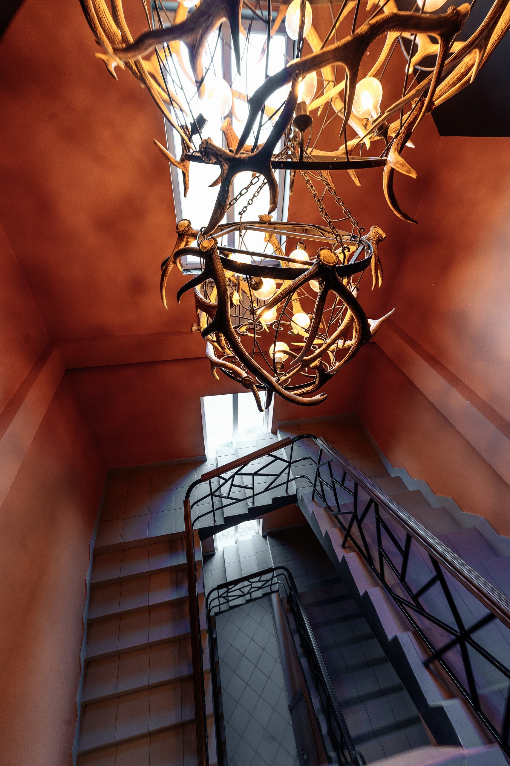 Фото Королевская охота