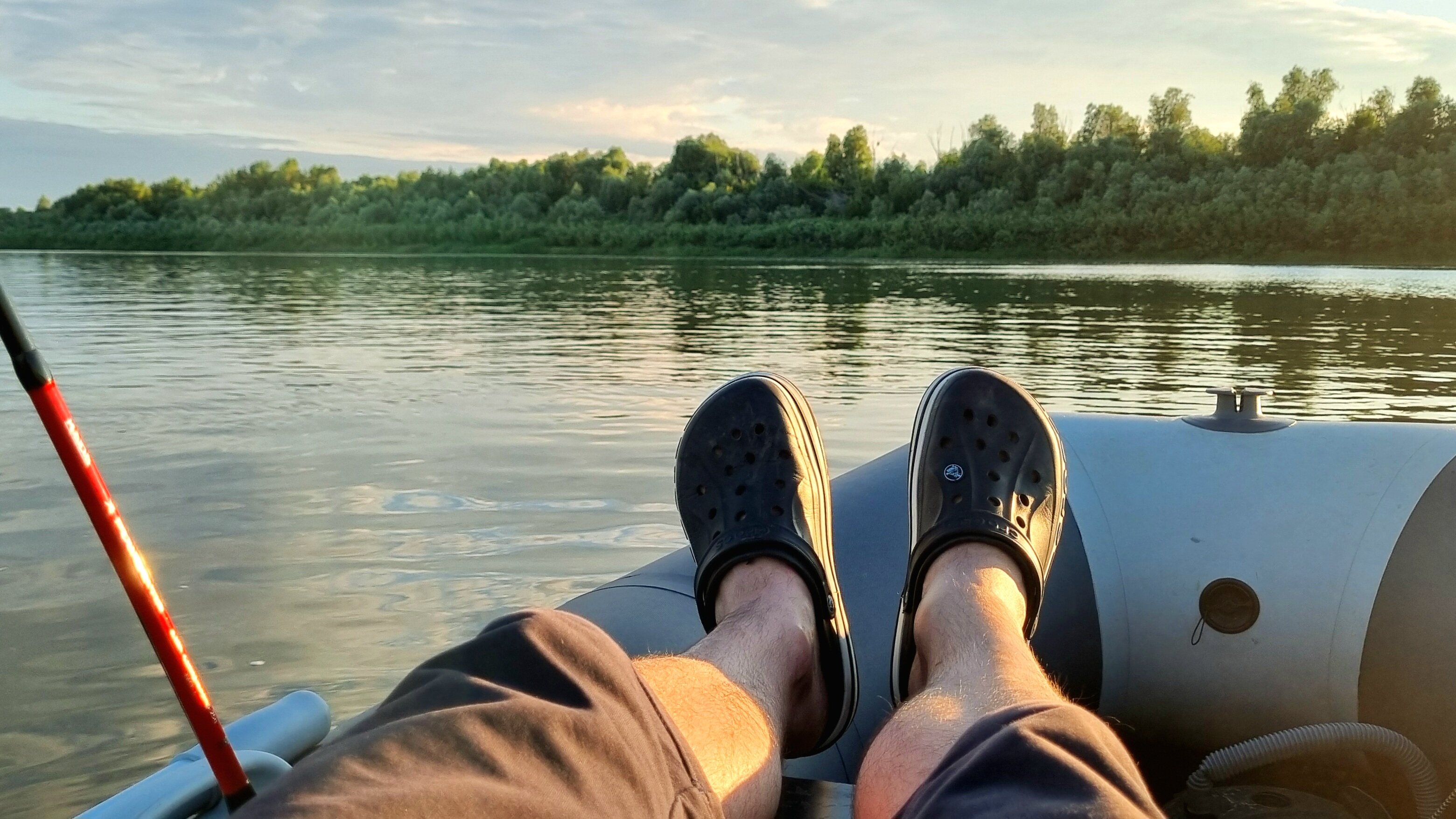 Фото Синяя птица