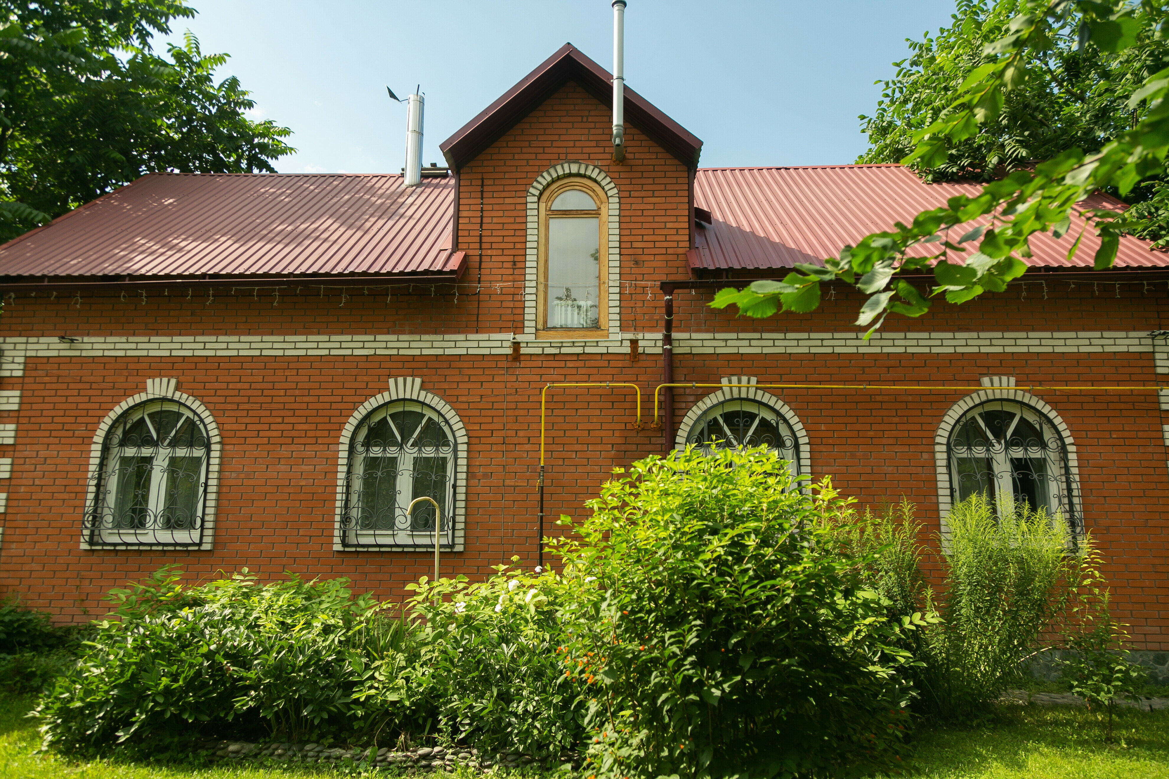 Фото Орешек