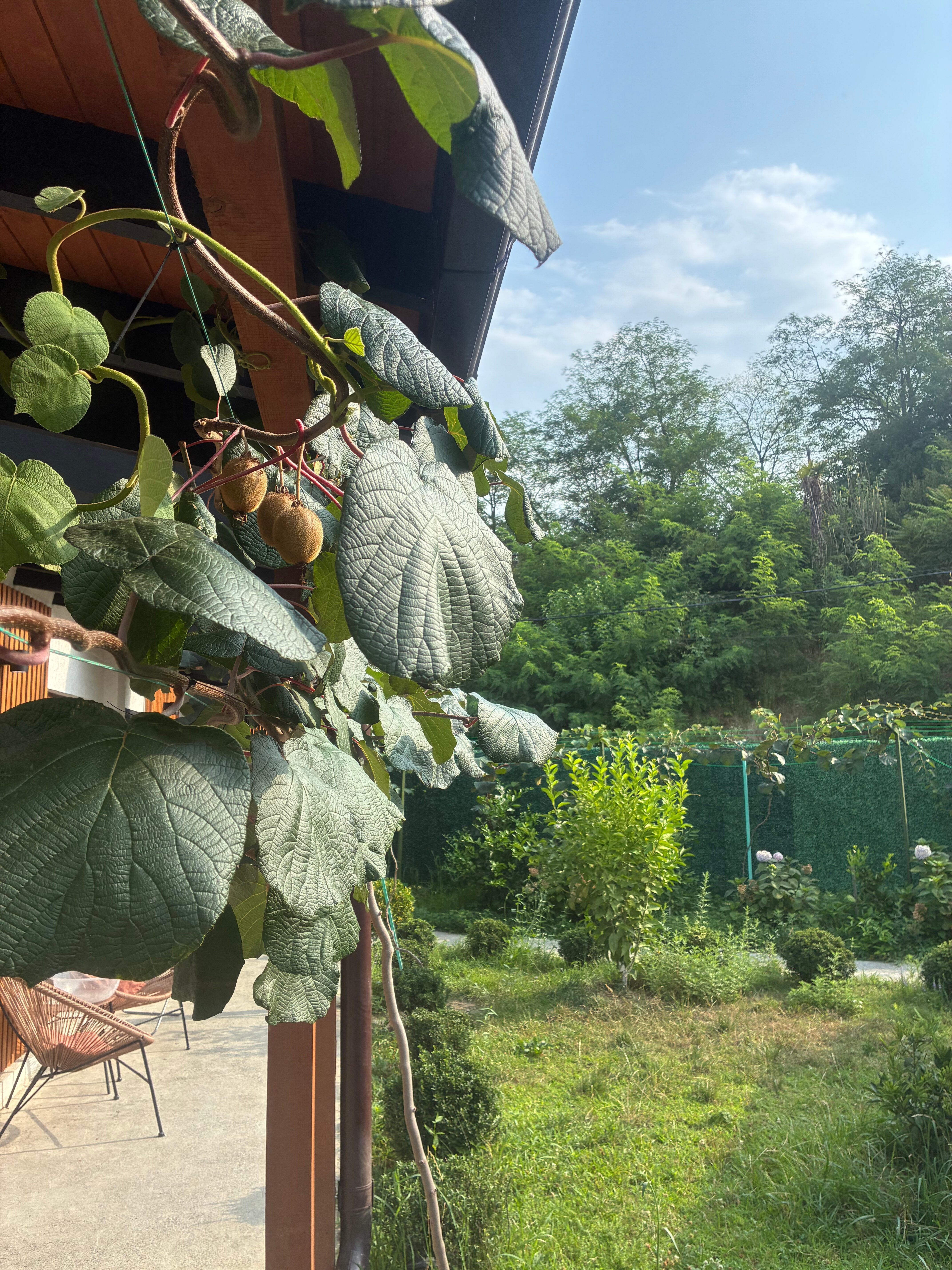 Фото Вилла Оазис