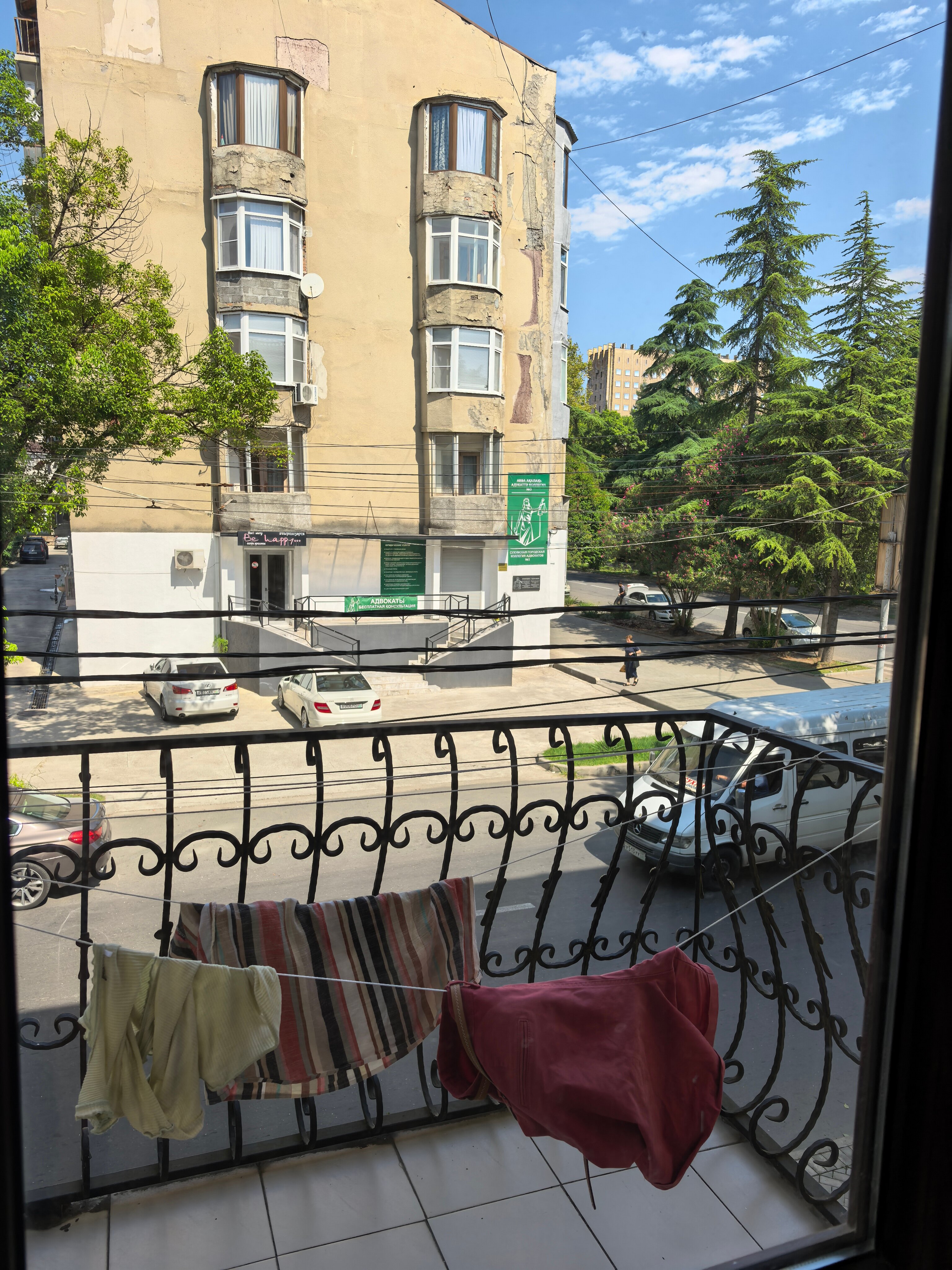 Фото Диоскурия