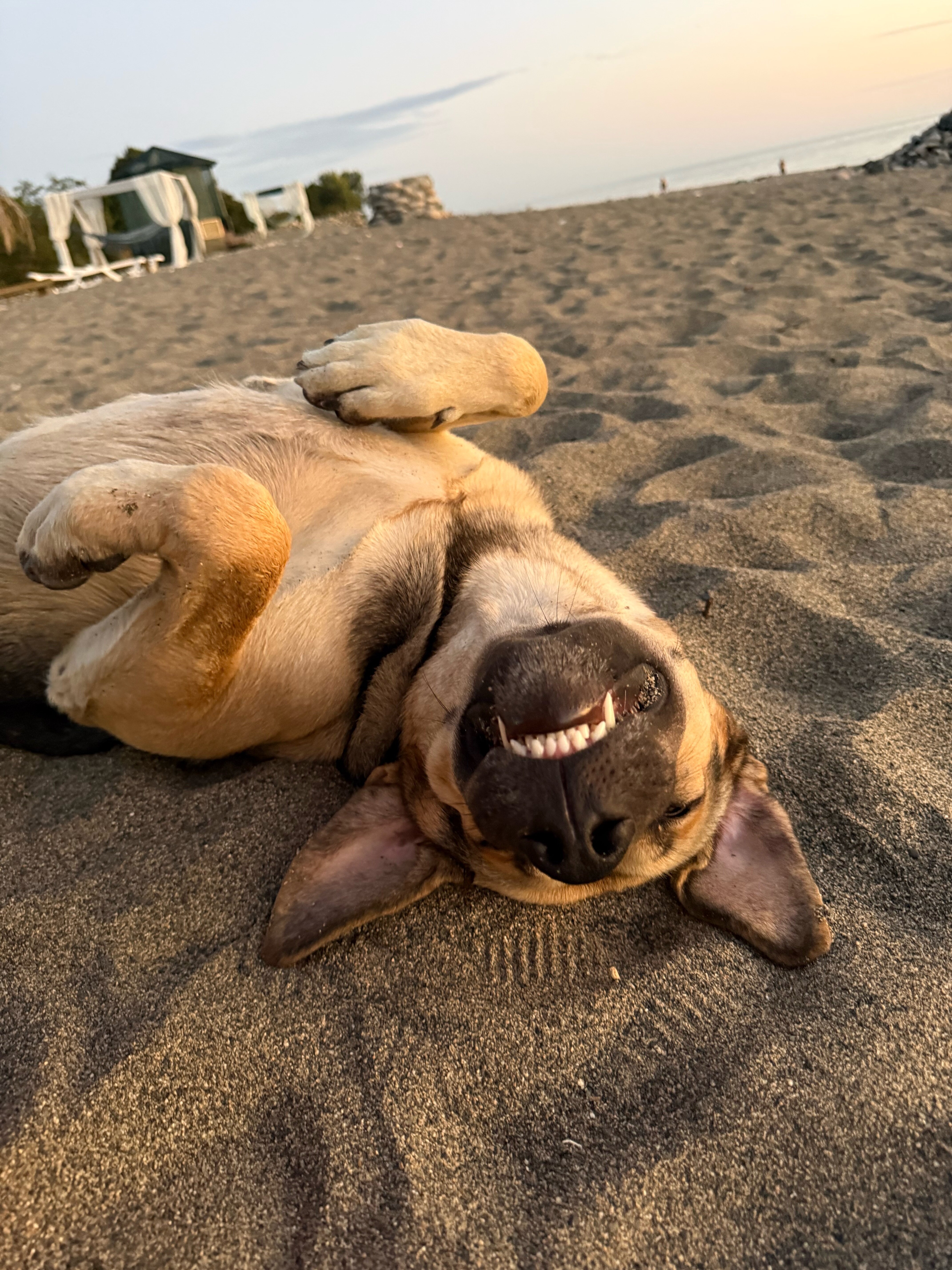 Фото Aqua Resort