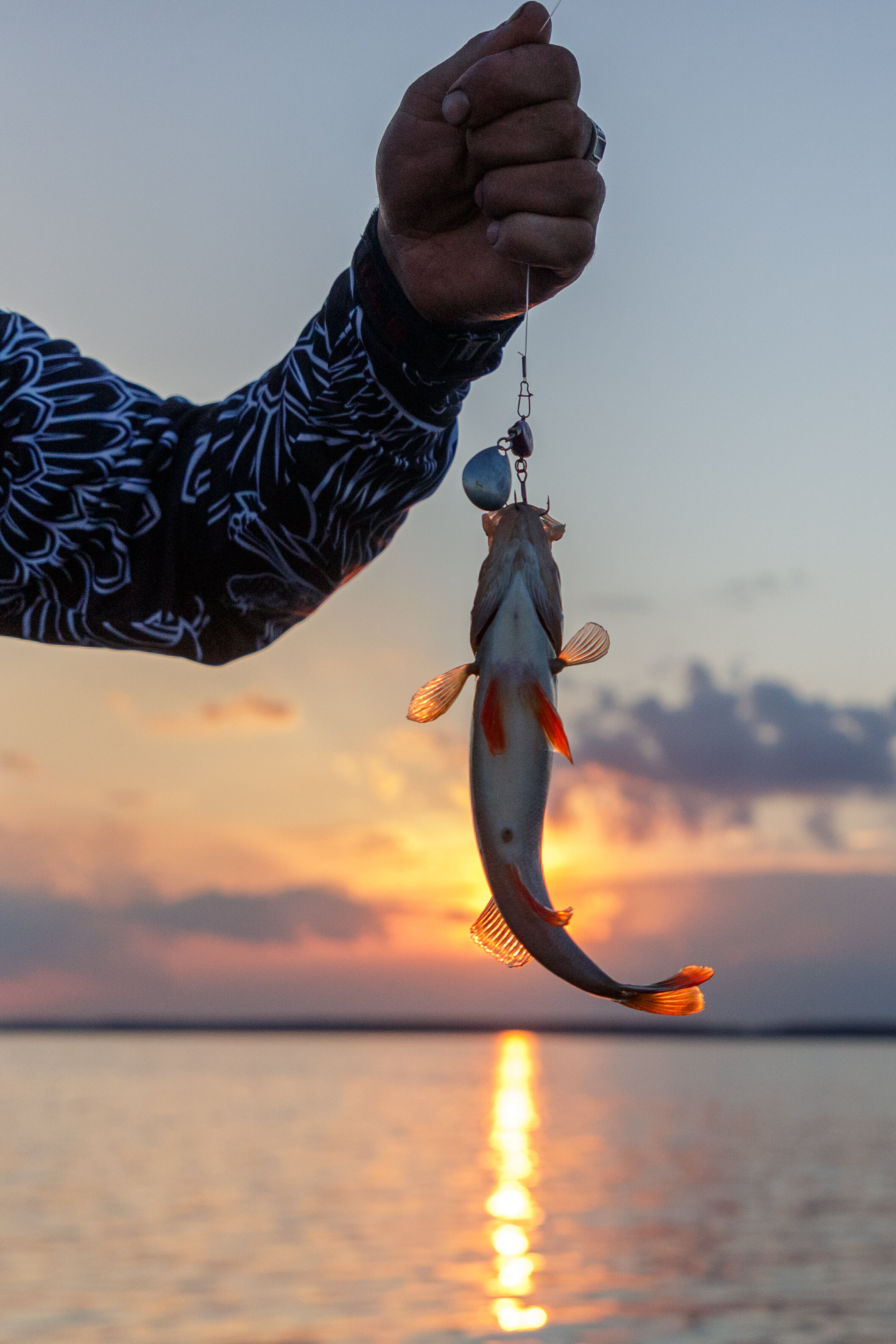 Фото Берег Мологи