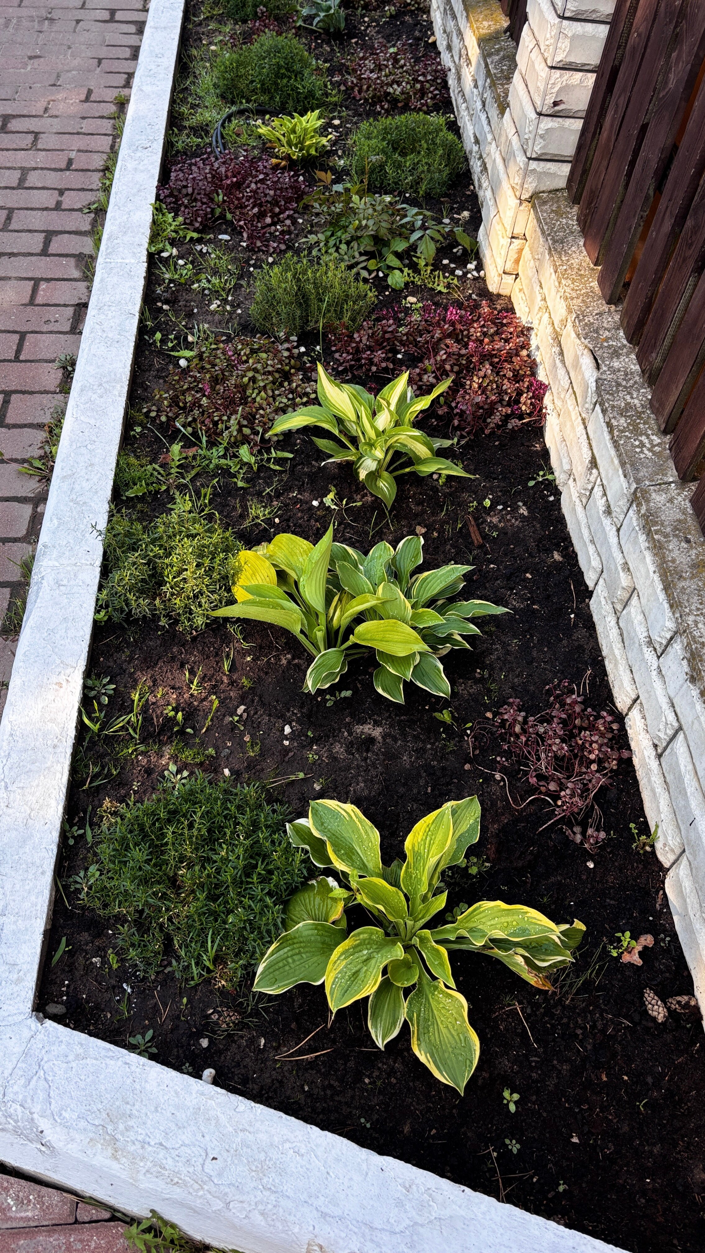 Фото Белый Берег