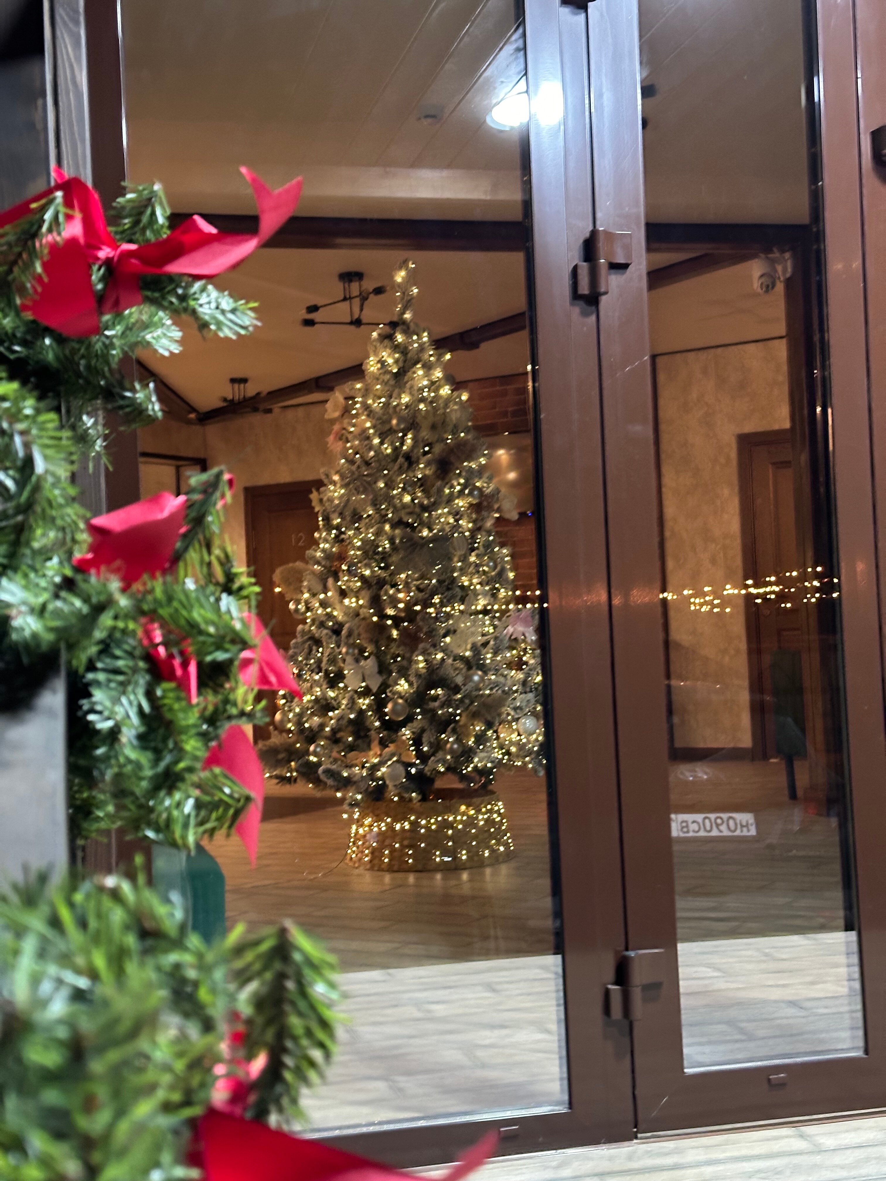 Фото Сосновый бор