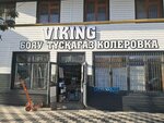 Viking (Áıteke Bı kóshesi, 1/3), hardware store