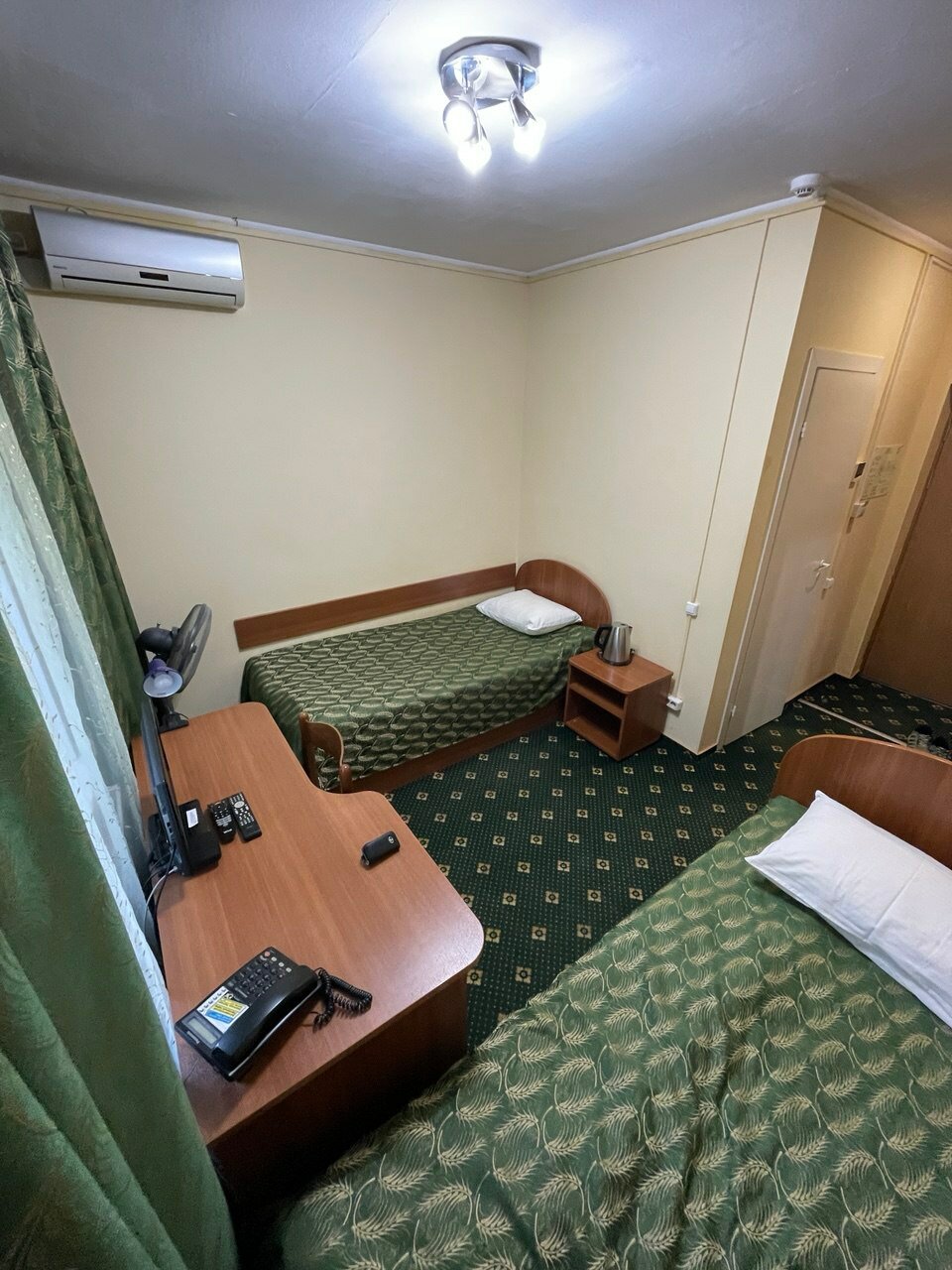Фото Кедр