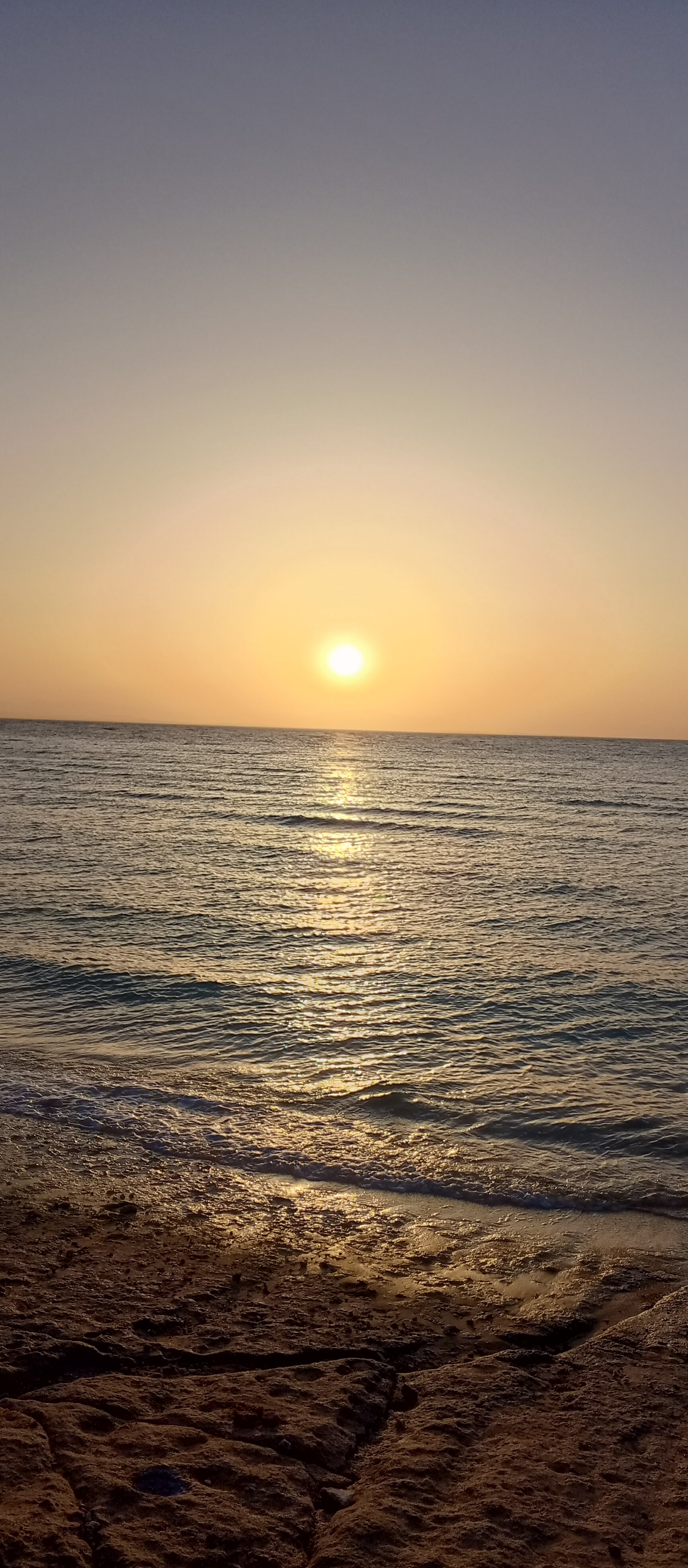 Фото Parrotel Beach Resort