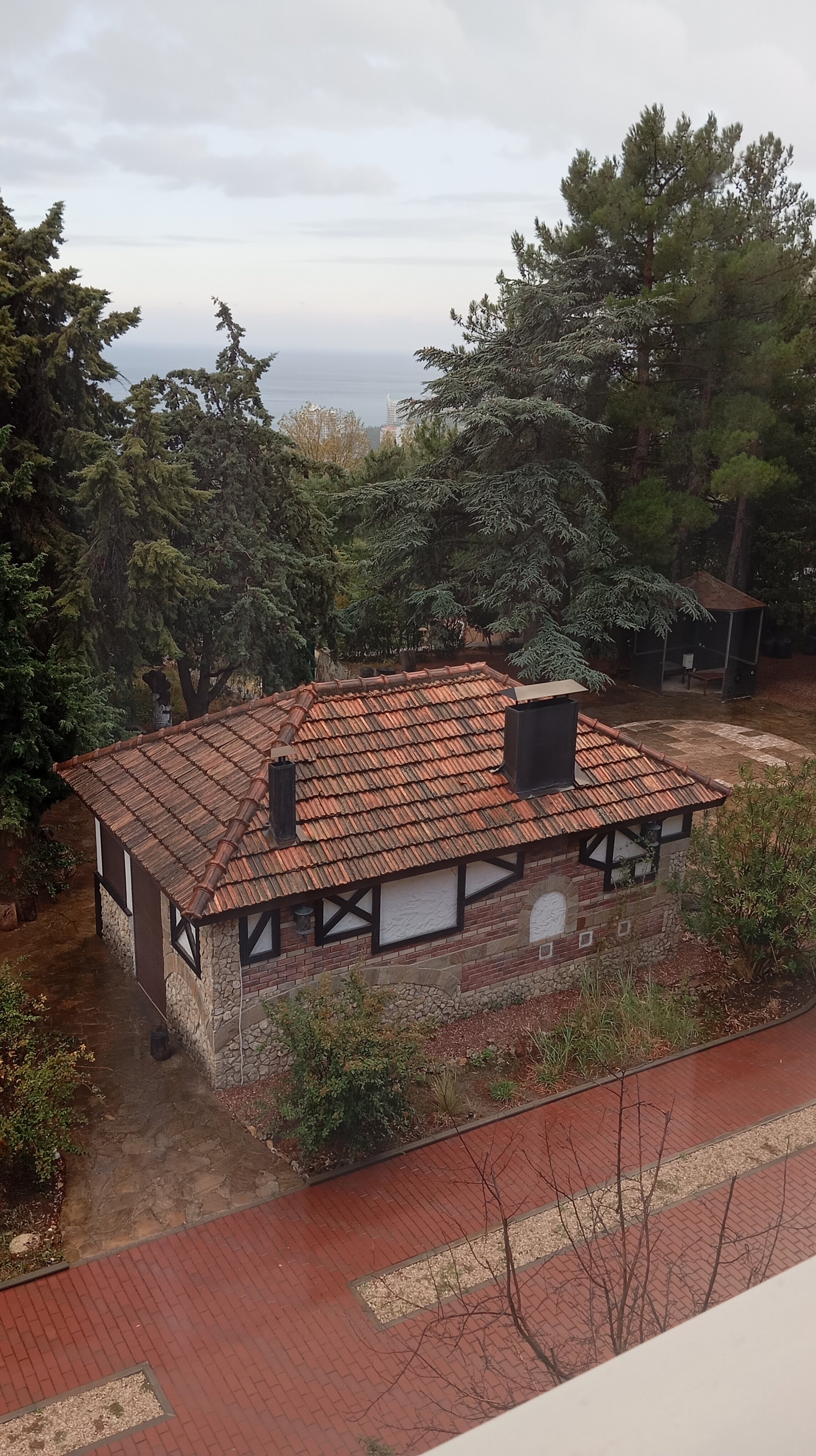 Фото Аквани