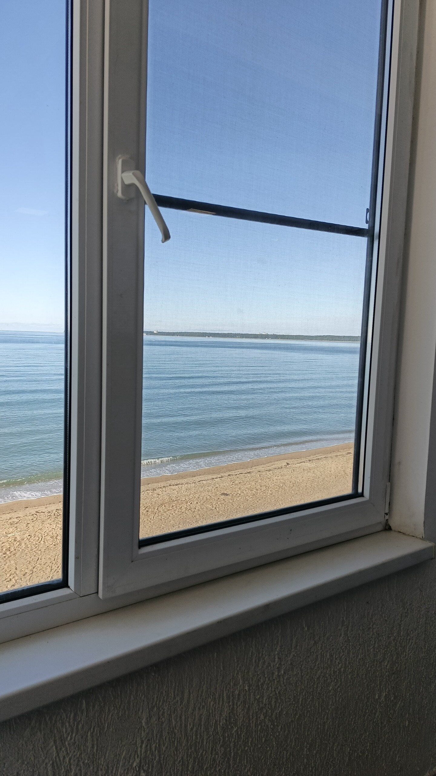 Фото Арбика