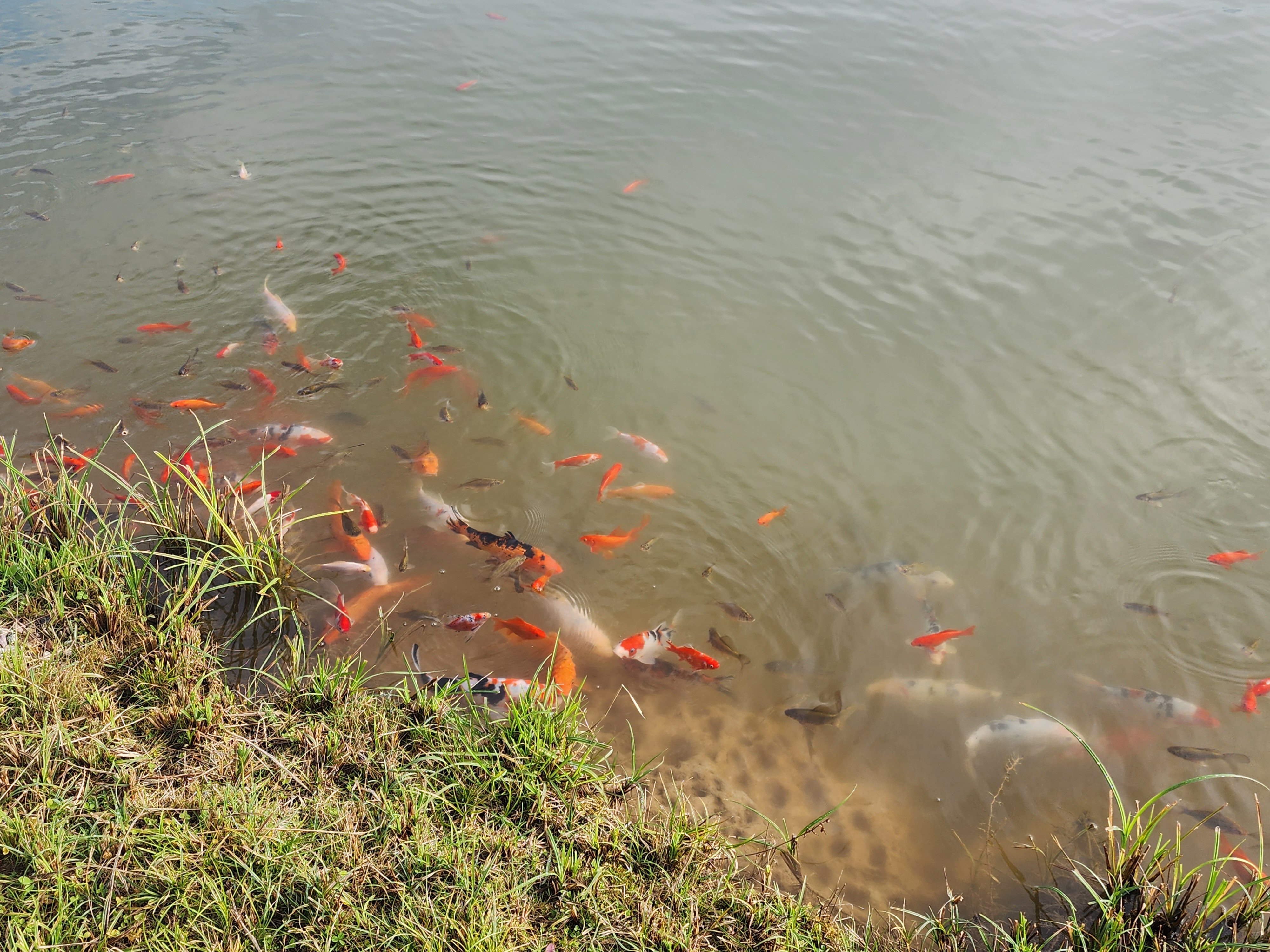 Фото Просто Эко