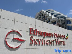 Гостиница Ethiopian Skylight Hotel