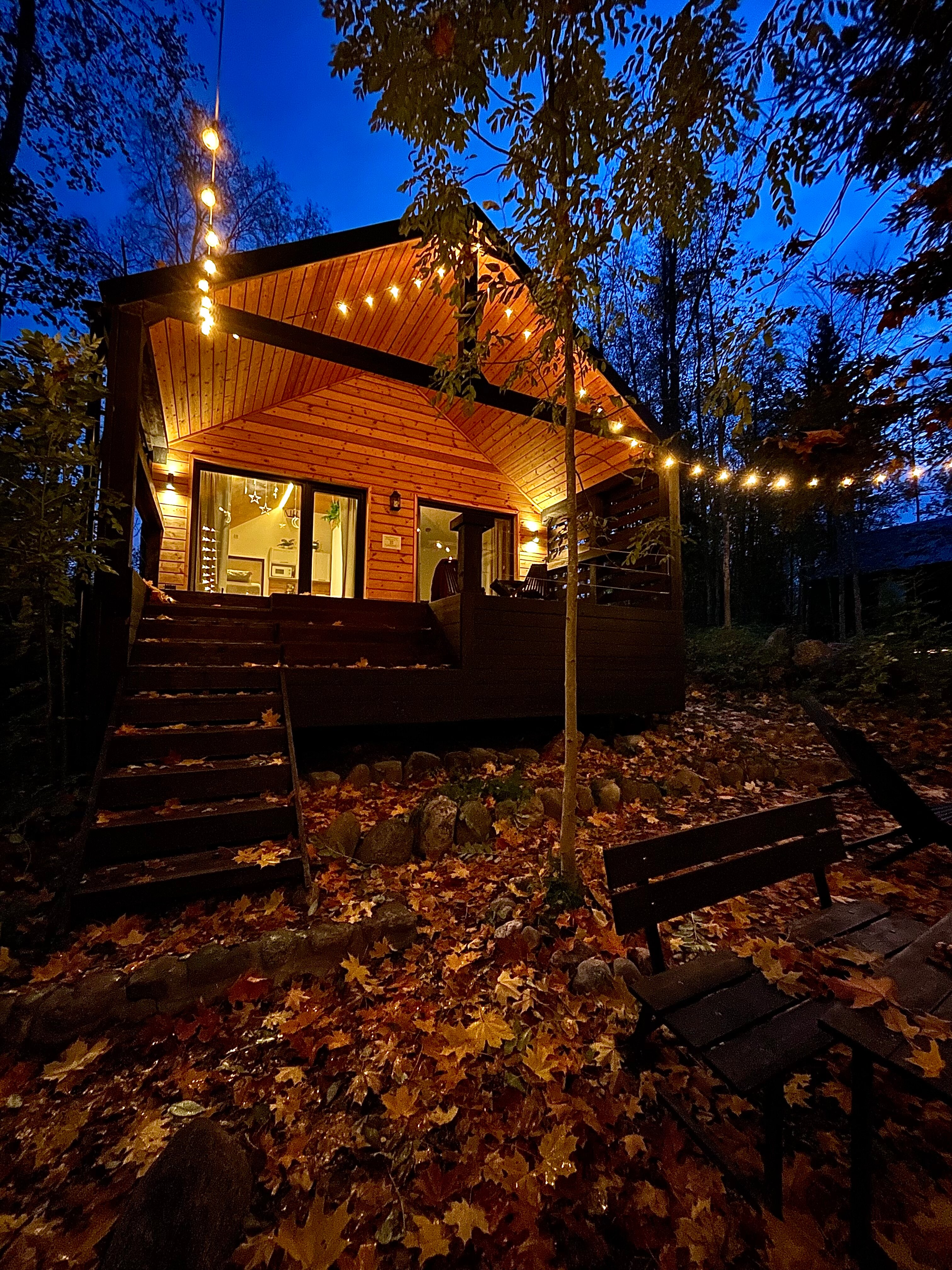 Фото Лес и Гора