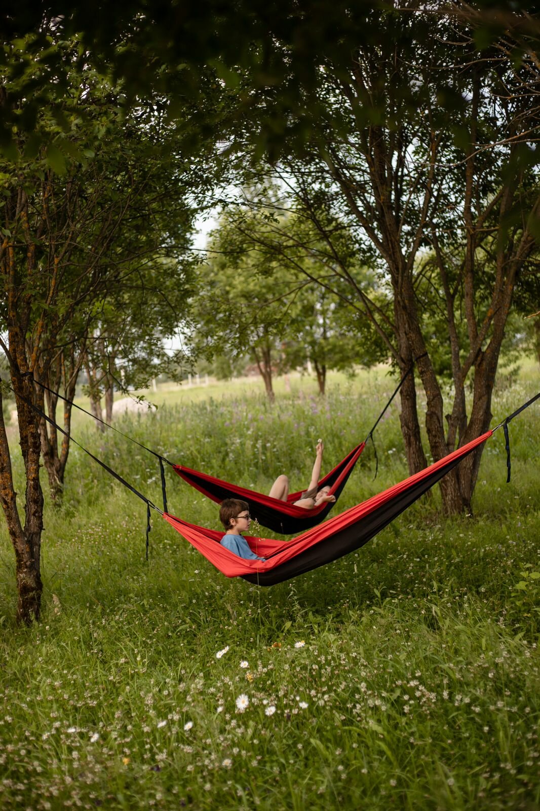 Фото Арт Хаус