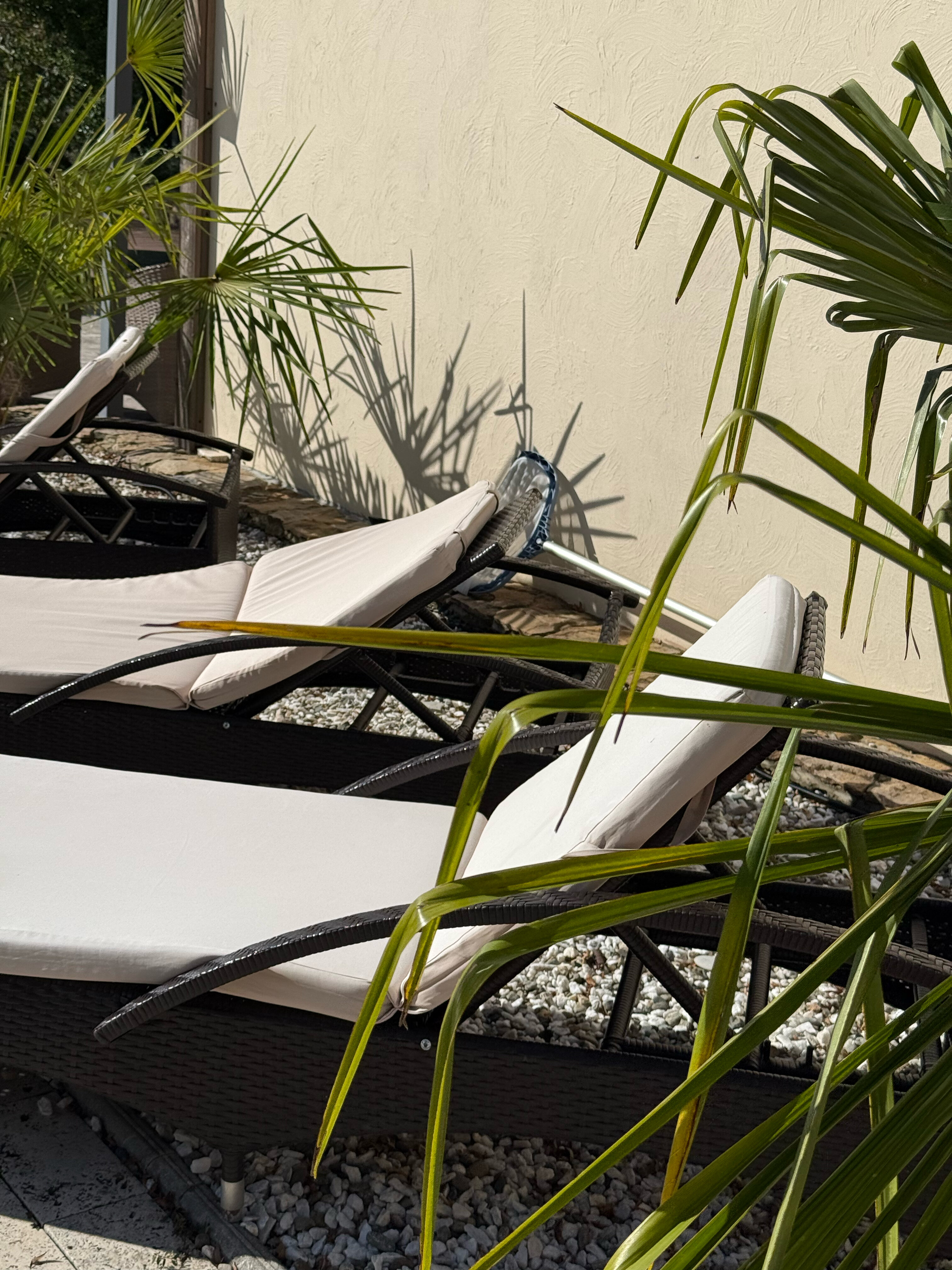 Фото Spatium Wellness Center