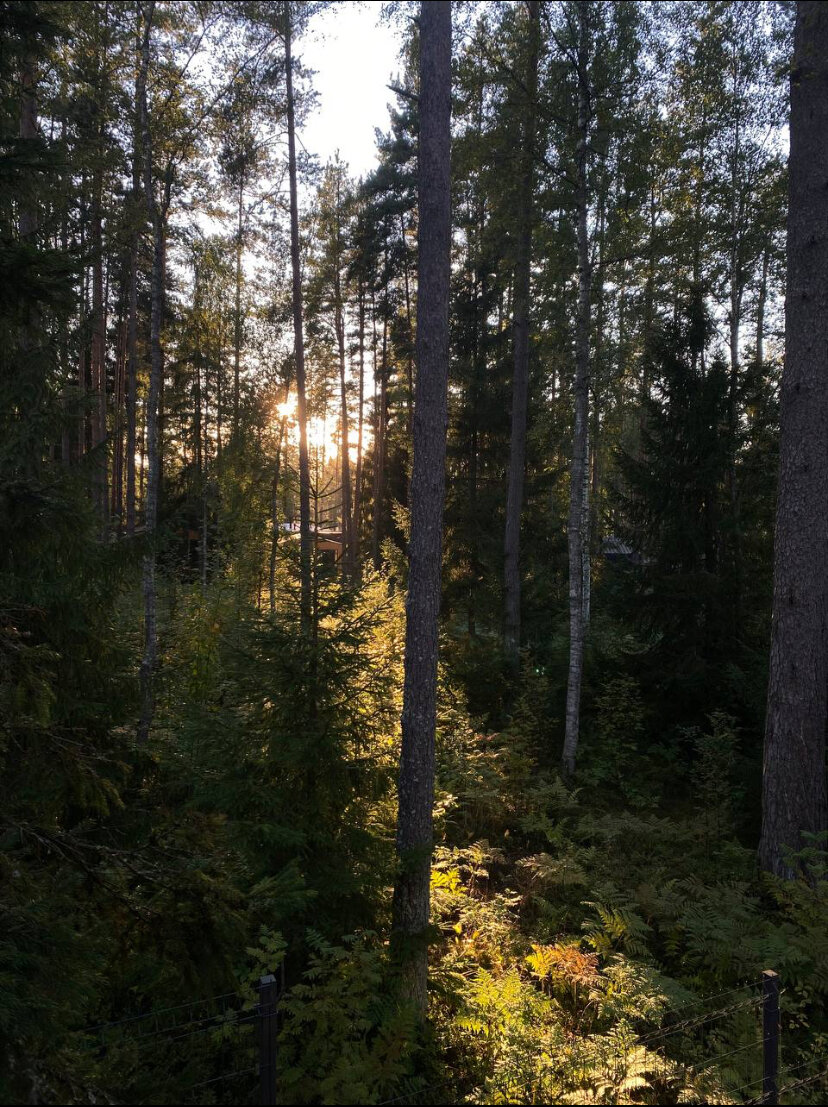 Фото Домик в Лисичках