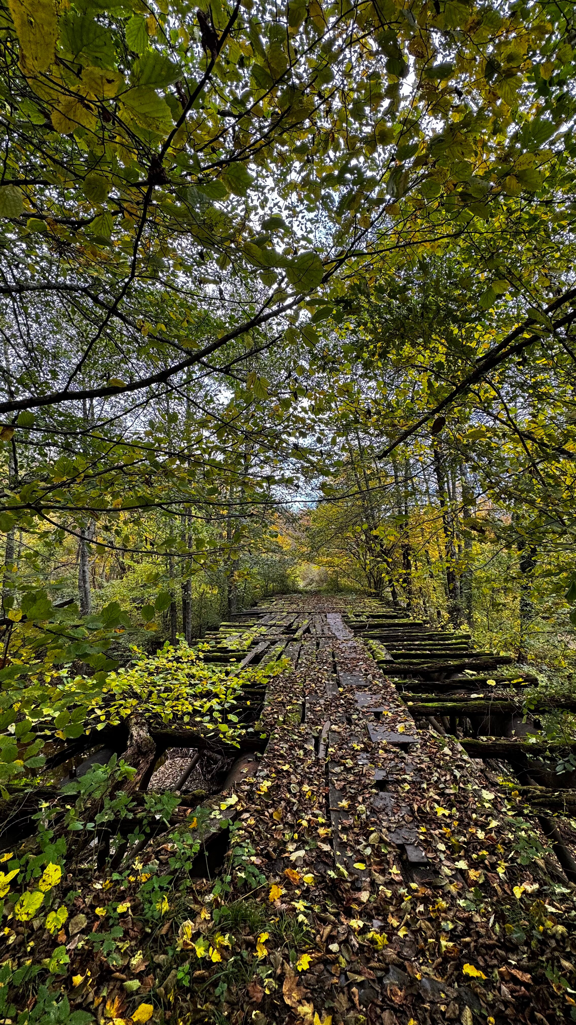 Фото Ален Хаус