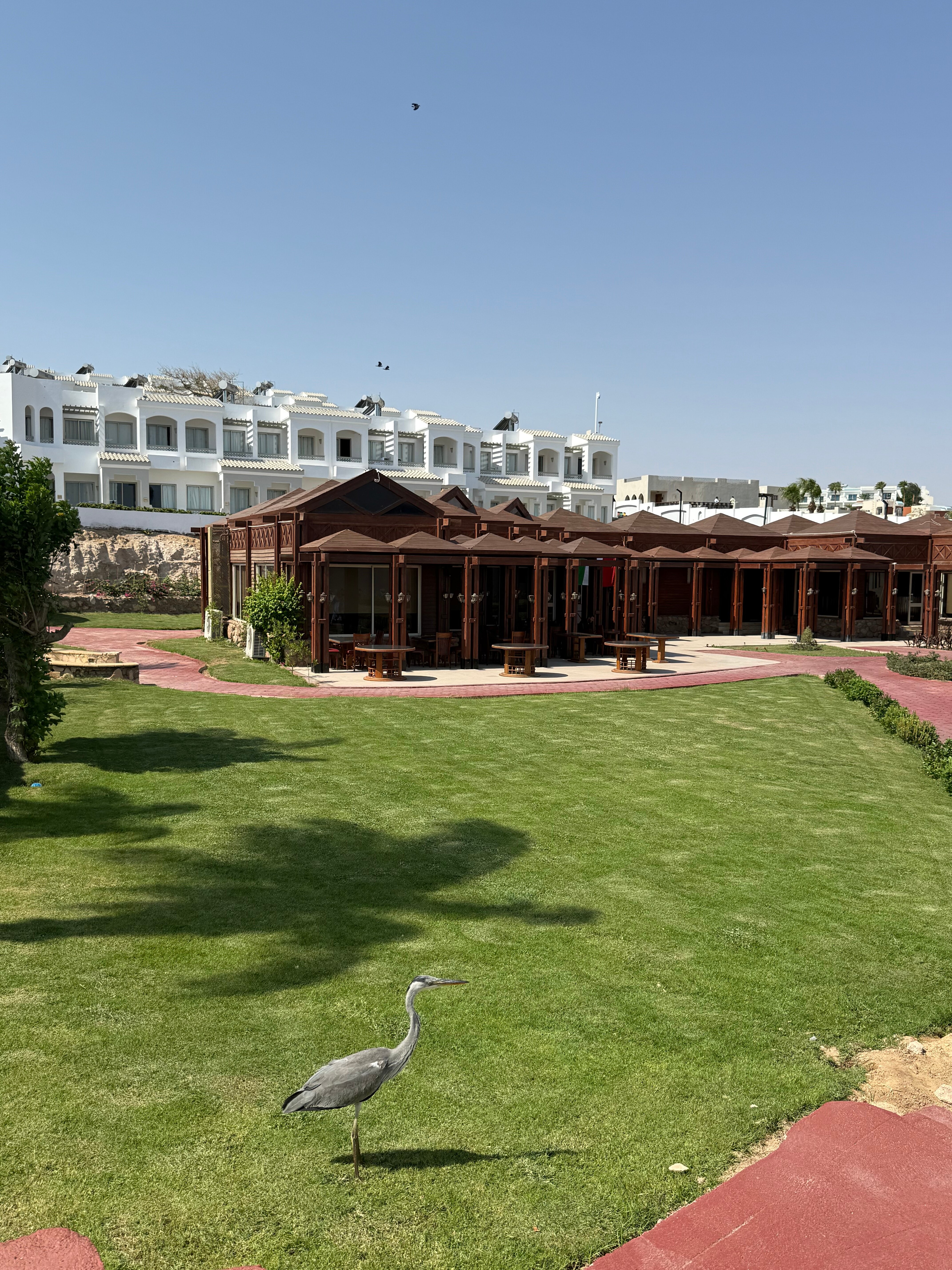 Фото Coral Beach Resort Tiran