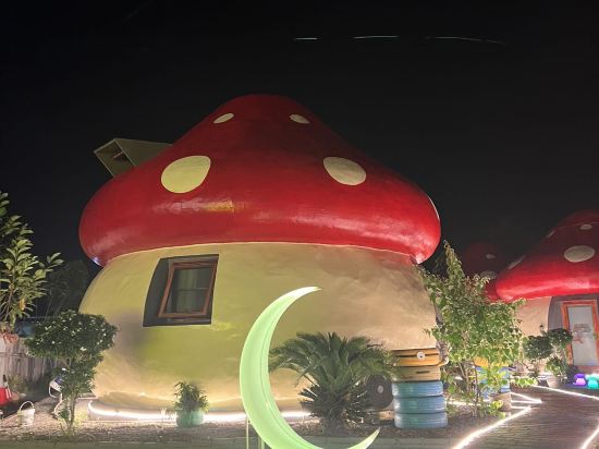 Фото Mushrooms Inn