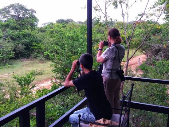 Фото Big Game Yala by Eco Team