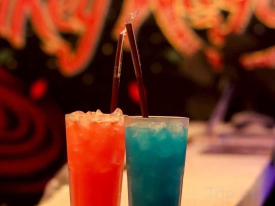 Фото 4 Monkeys Hotel