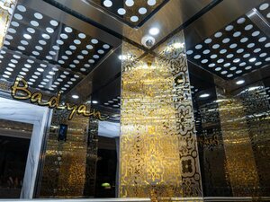 Гостиница Badyan