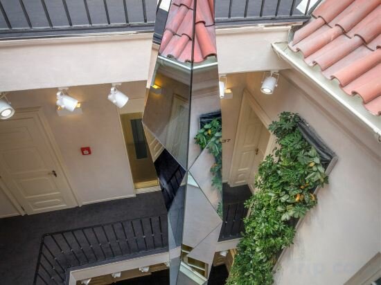 Фото Hotel Golden Star