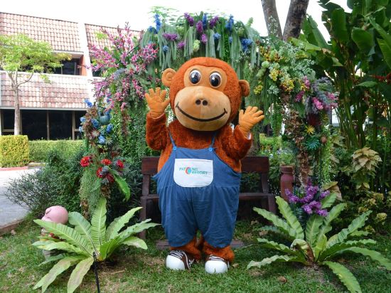 Фото Patong Resort