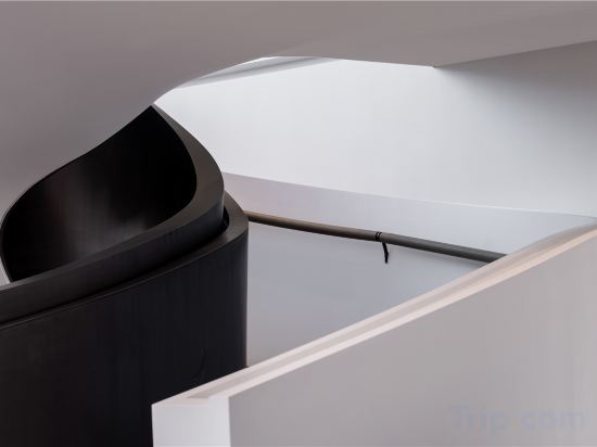 Фото 206446551150