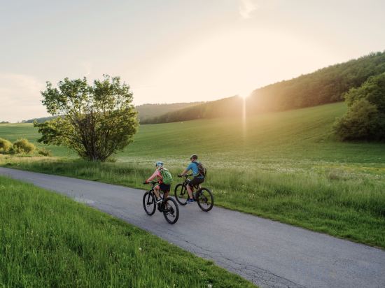 Фото Romantikhotel Forstinger