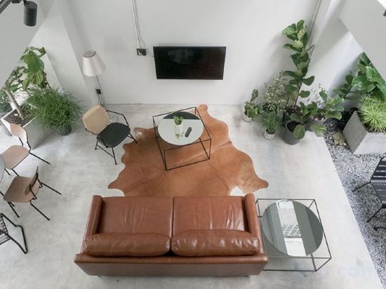 Фото Chocolate Box Mint