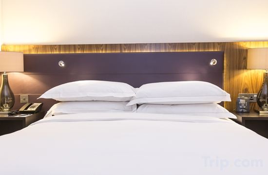 Фото Хилтон Лондон Уэмбли