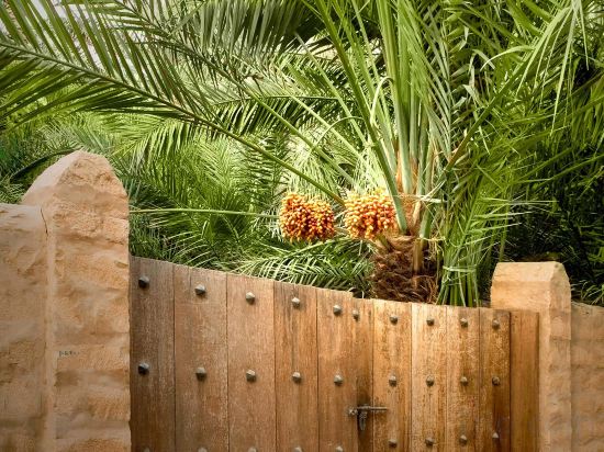 Фото Aloft Abu Dhabi