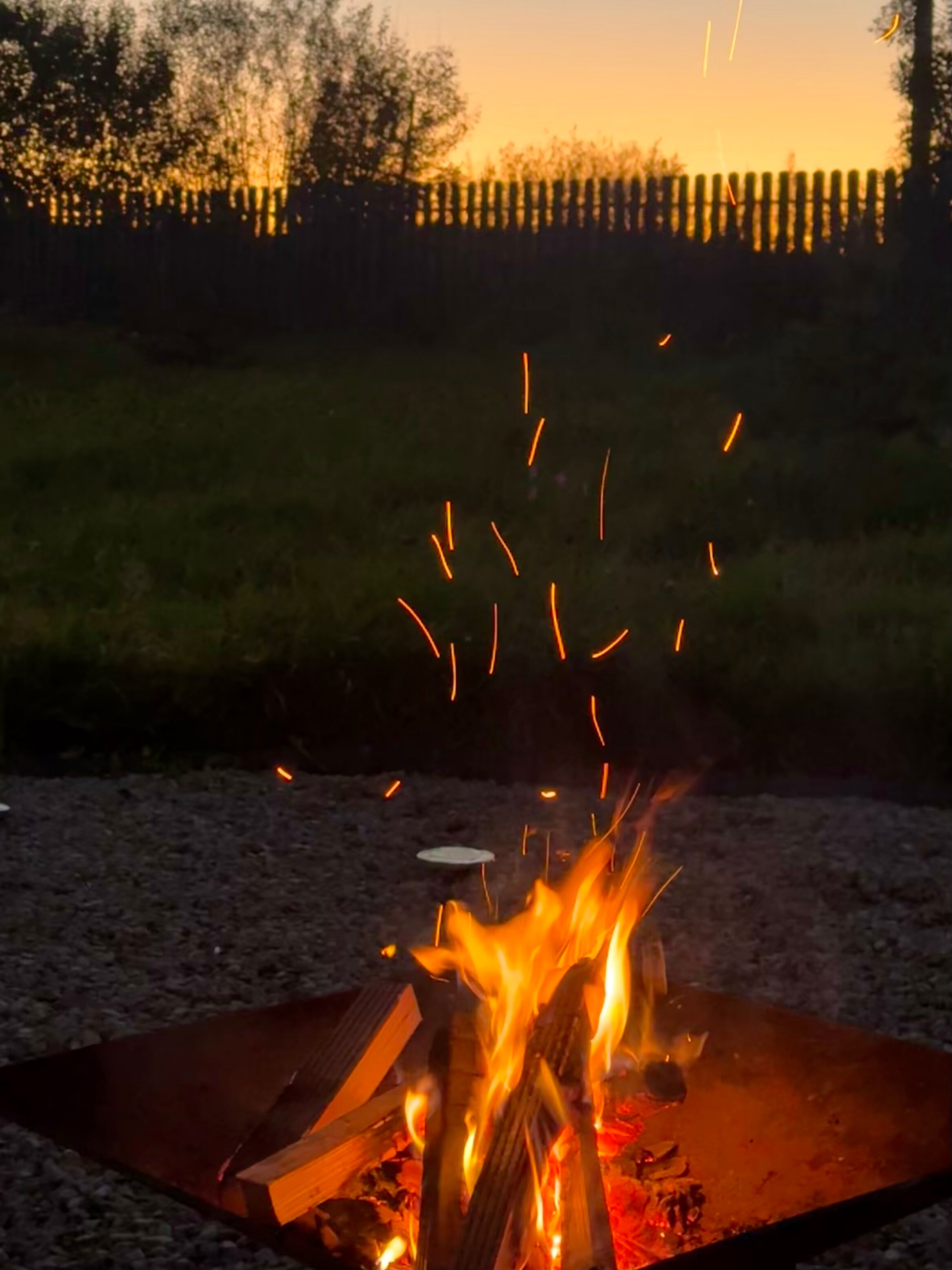 Фото Pro Отдых