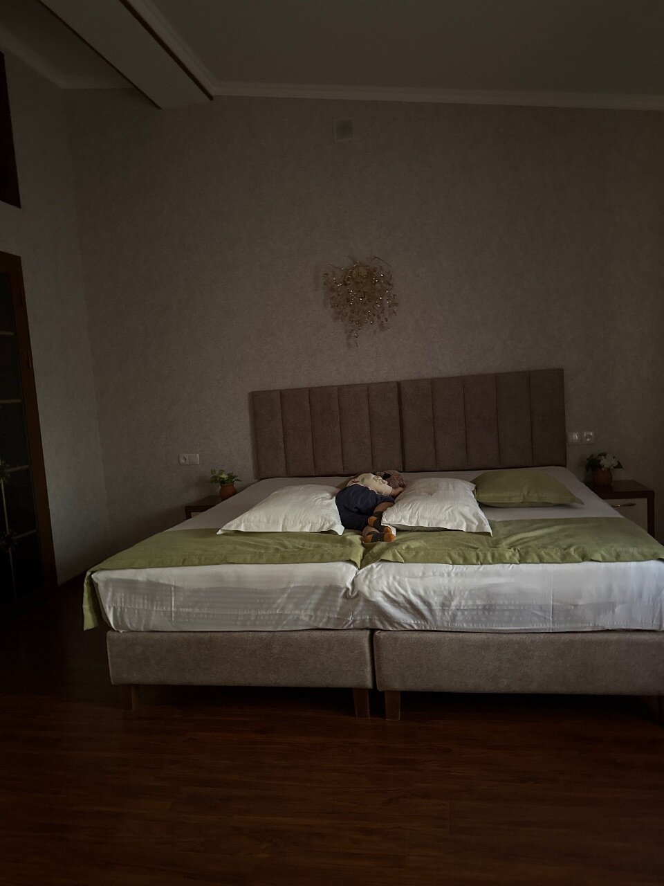 Фото Vasiev's Hotel