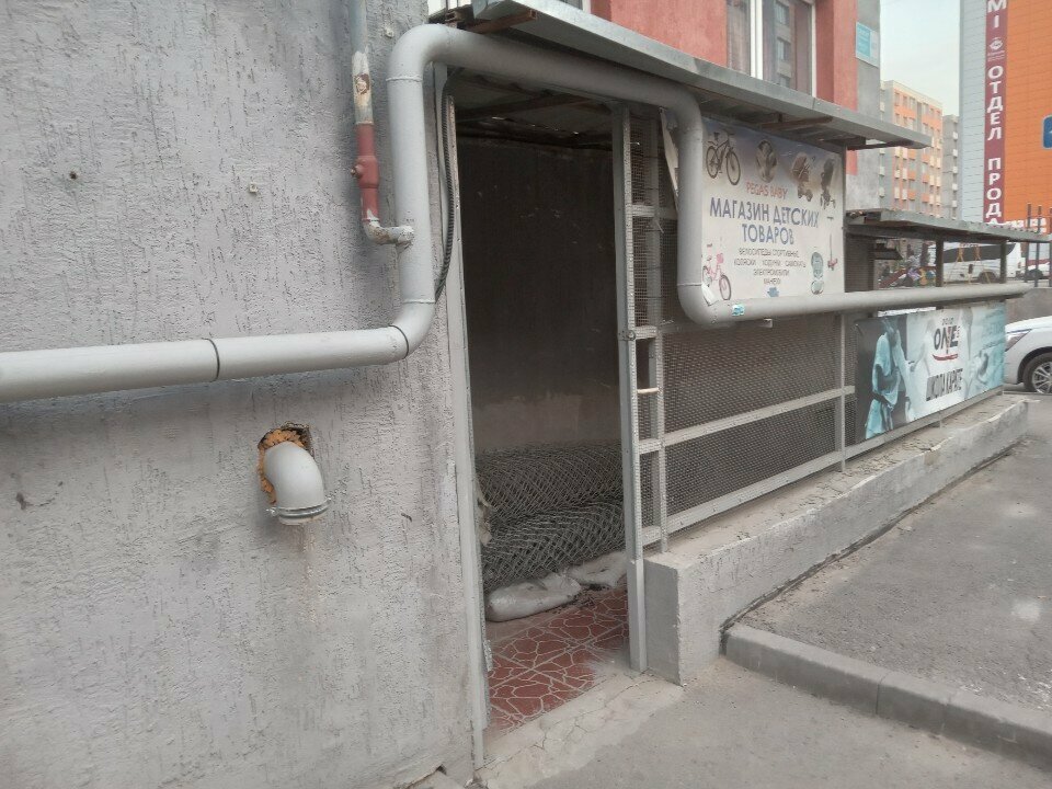 Bicycle shop Pegas baby, Almaty, photo