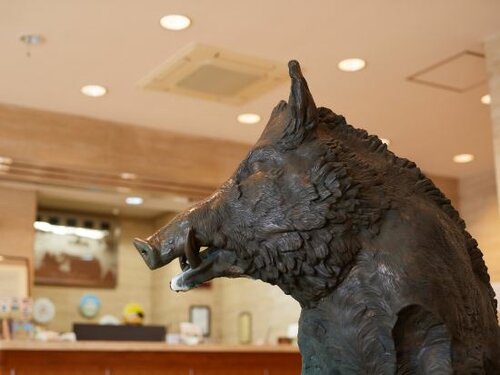 Гостиница Hotel New Central в Фудзи