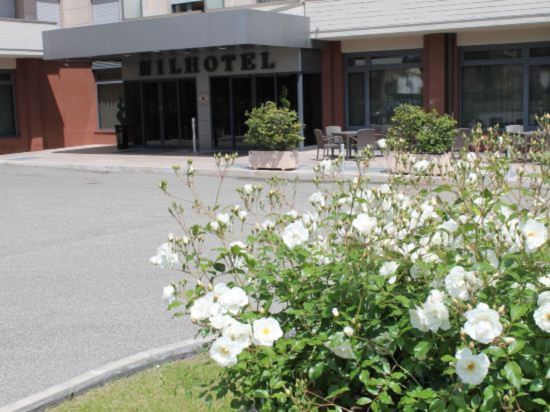 Фото Nilhotel