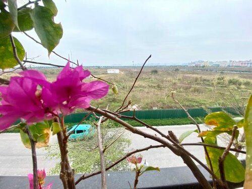 Гостиница Milash Boutique Hotel в Провинции Куангнинь